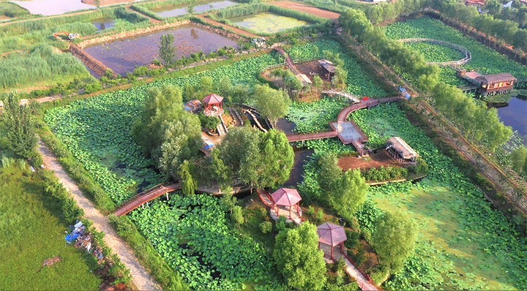 黄河故道国家湿地公园项